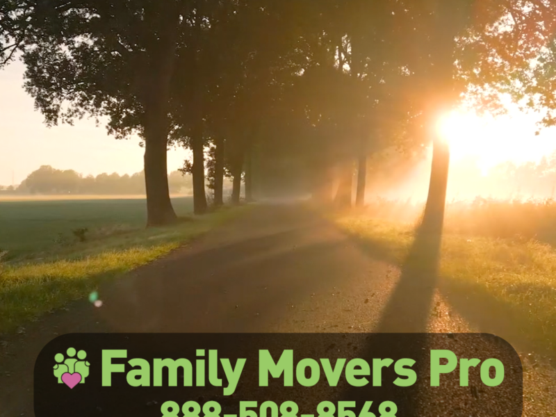 Family Movers Pro